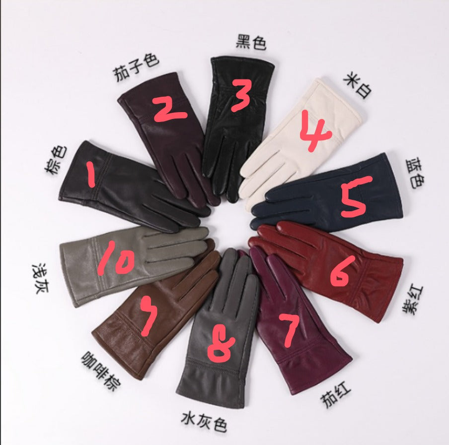 Autumn and Winter Warm Fleece Outdoor Multi-color Leather Gloves