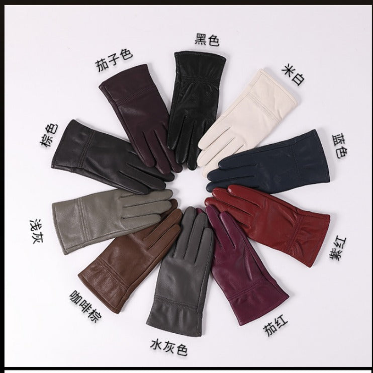 Autumn and Winter Warm Fleece Outdoor Multi-color Leather Gloves
