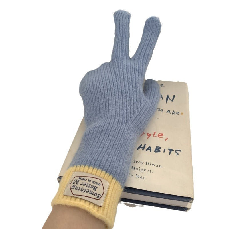 Autumn and Winter Warm Five-finger Knitted Gloves for Women-ABS2461KQ